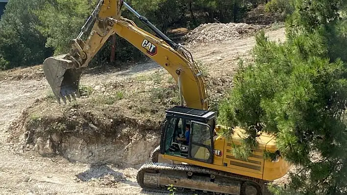 İzmir’de ağaçlar katledildi iddiası