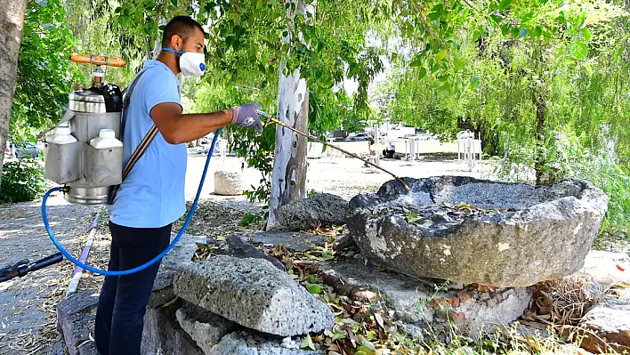 İzmir'de sivrisineklere karşı etkili mücadele