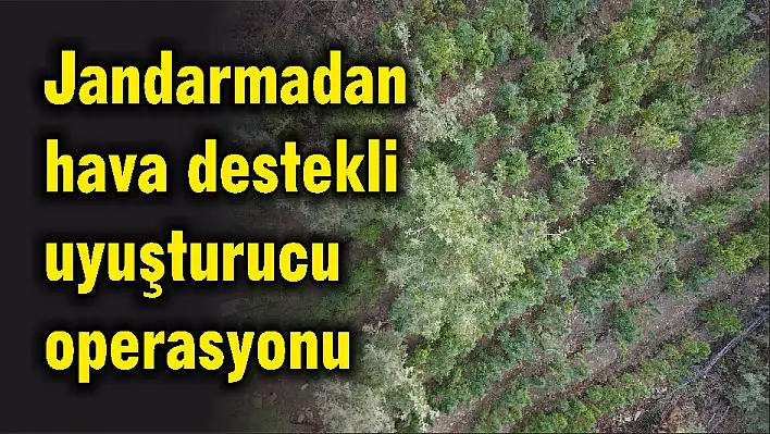 Jandarmadan hava destekli uyuşturucu operasyonu