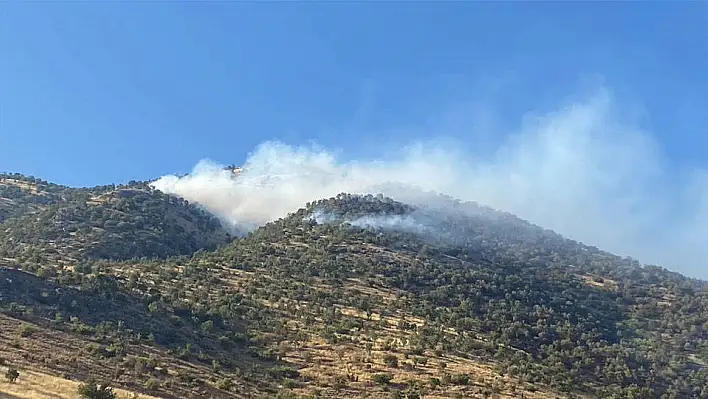 Kahramanmaraş'ta çıkan yangın kontrol altına alındı