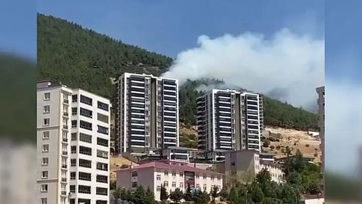 Kahramanmaraş'ta orman yangını