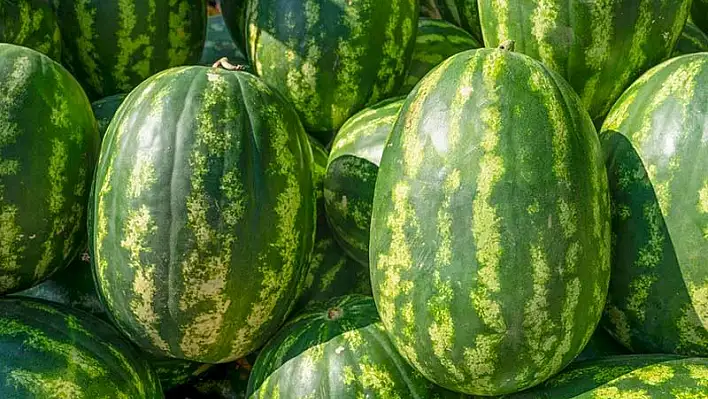 ‘Kapuz’ pazar tezgahlarında… Fiyatı ise cep yakıyor