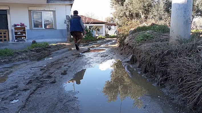 KARABURÇ AZAP İÇİNDE