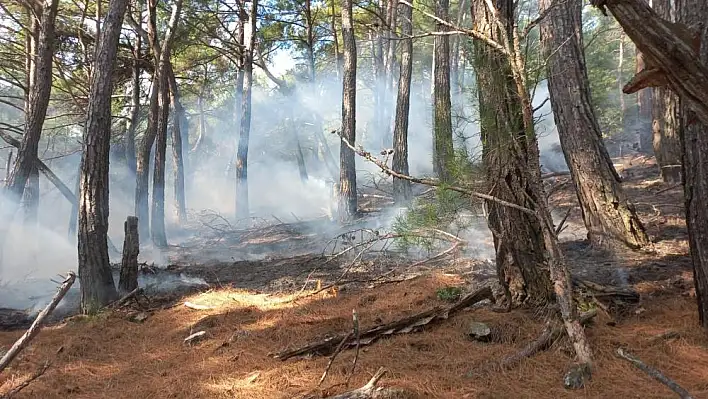 Kazdağları'nda yangın