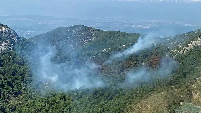 Kemalpaşa’da orman yangını