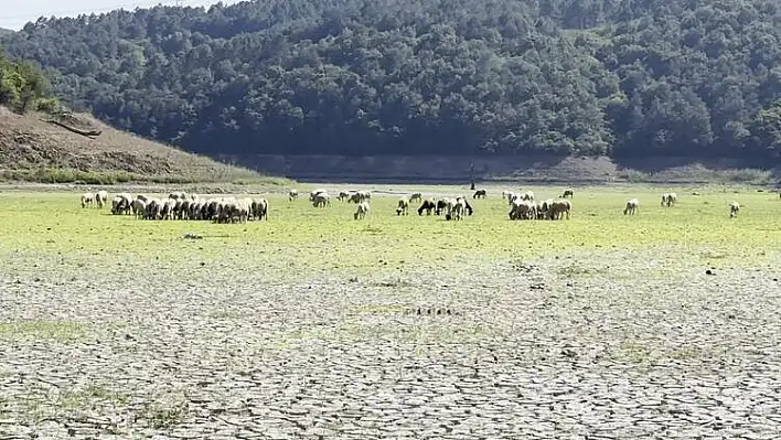 Kemerburgaz Kent Ormanı'ndaki göl tamamen kurudu