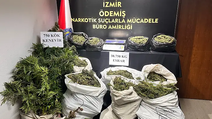 Kiraz'da 38 Kilo Esrar ve 750 Kök Hint Keneviri Ele Geçirildi