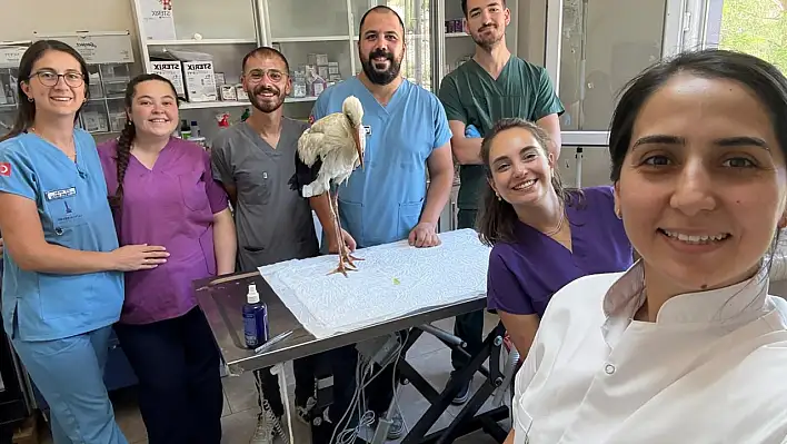 Kiraz'da Yaralı Leylek Bakımevinde Tedavi Edildi, Doğal Yaşamına Kavuşacak