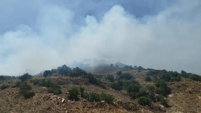 Kiraz Okka Taşı mevkiinde yangın çıktı