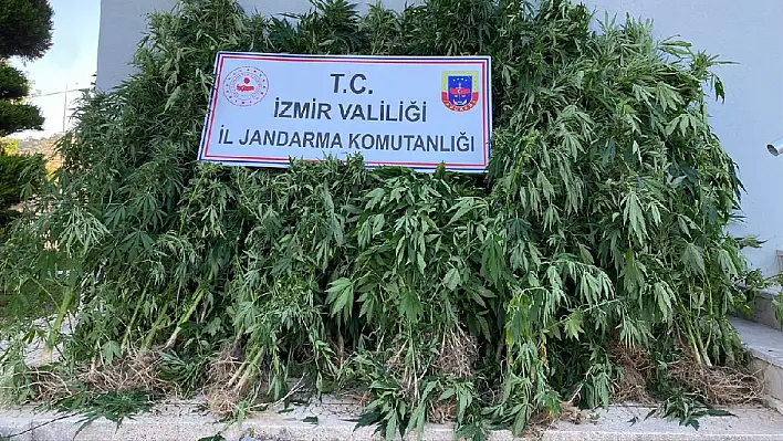 Kiraz’da uyuşturucu operasyonunda 2 kişi gözaltına alındı