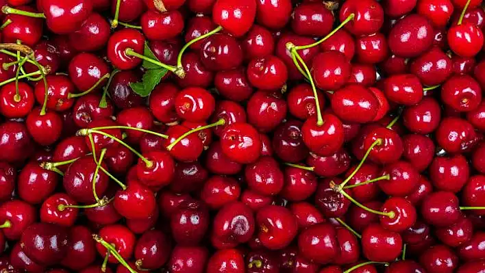 Kirazın Kilosu 500 Lirayı Gördü: Yaz Meyvesi Lükse Dönüştü