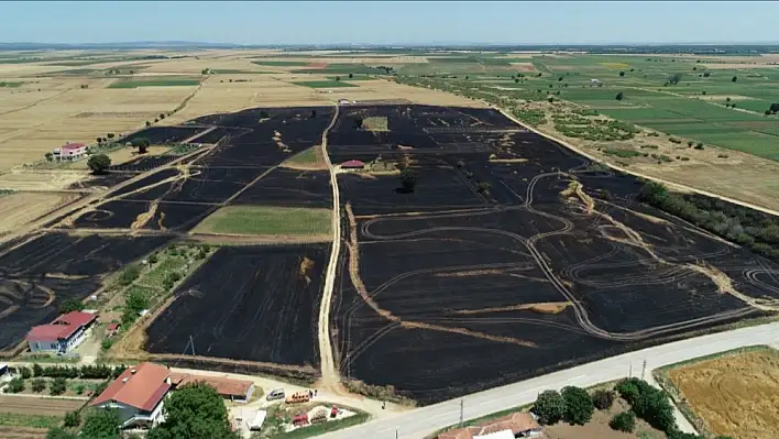 Kırklareli’nde 90 dönüm buğday tarlası kül oldu