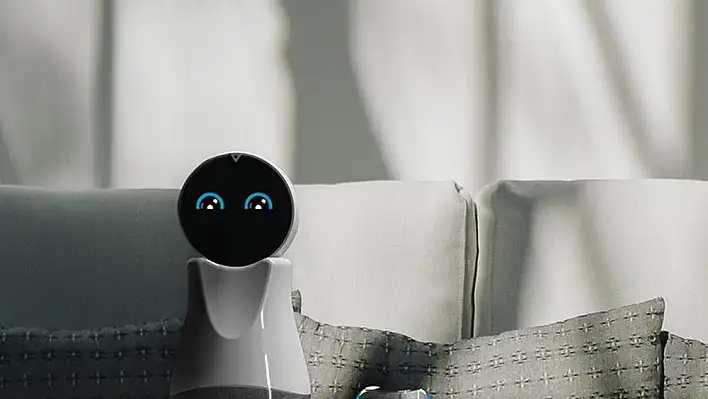 Koca çınarlar Maya'ya emanet