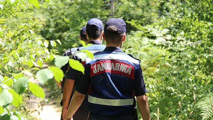 Kocaeli'nde orman girişleri yasaklandı