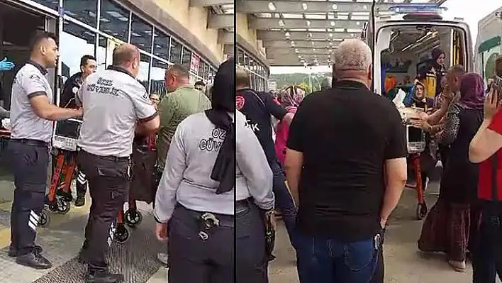 Kooperatif bekçisi, erik toplayan kişiyi vurdu