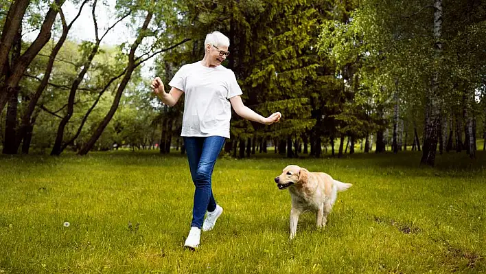 Köpeğiniz sizi sürekli takip ediyorsa sebebi bunlar olabilir