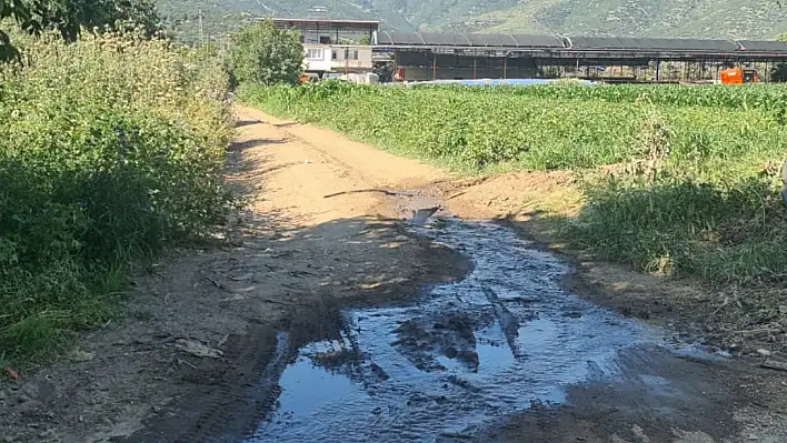 Küçükavulcuk'ta Patates Tarlasından Yola Akan Su Tehlike Saçıyor