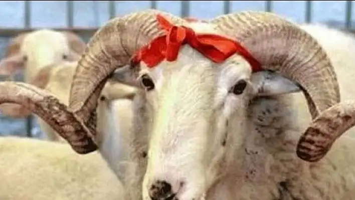 Kurban kanının alına sürülmesinin dinde yeri var mı?