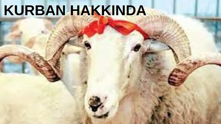 Kurbanın dini hükmü nedir?
