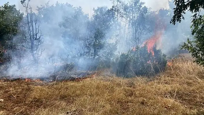 Kütahya’da orman yangını