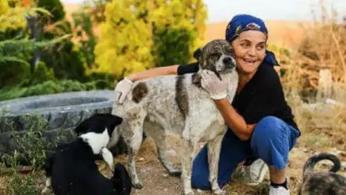 Mama fiyatlarındaki artış, hayvan sahiplerini zorluyor