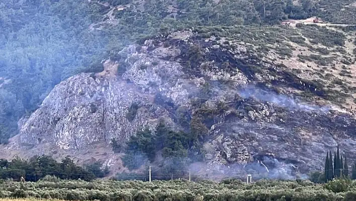 Manisa’da orman yangını büyümeden söndürüldü