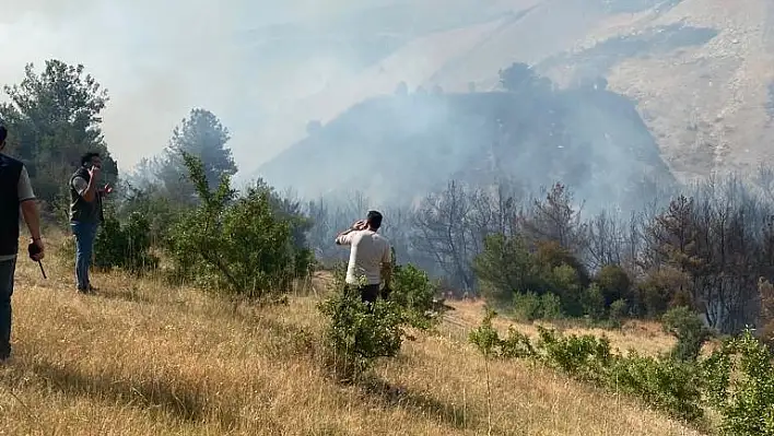 Manisa’da orman yangını