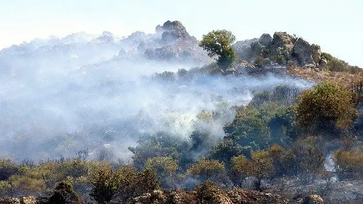 Milas'ta yangın