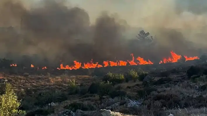 Muğla’da korkutan yangın!