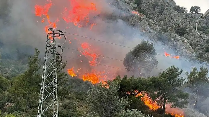 Muğla'daki yangın kontrol altına alındı