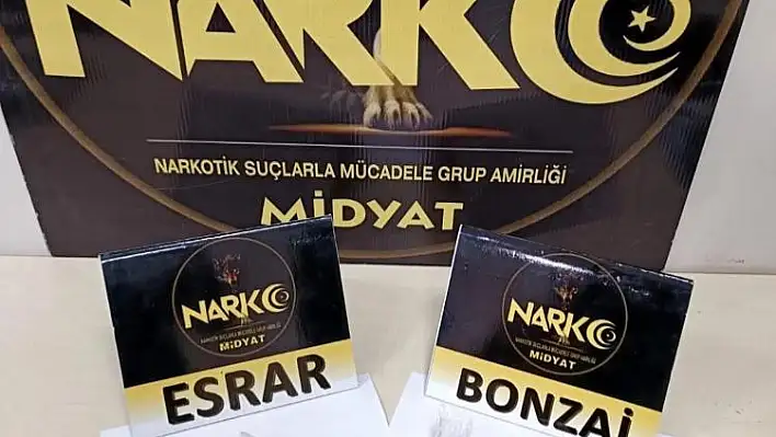 Narkotik Operasyonu: Bonzai ve Esrar Ele Geçirildi