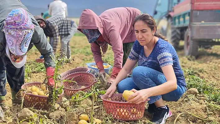  Ödemiş İlçe Tarım ve Orman Müdürlüğü’nden Bitki Sağlığı Faaliyetleri