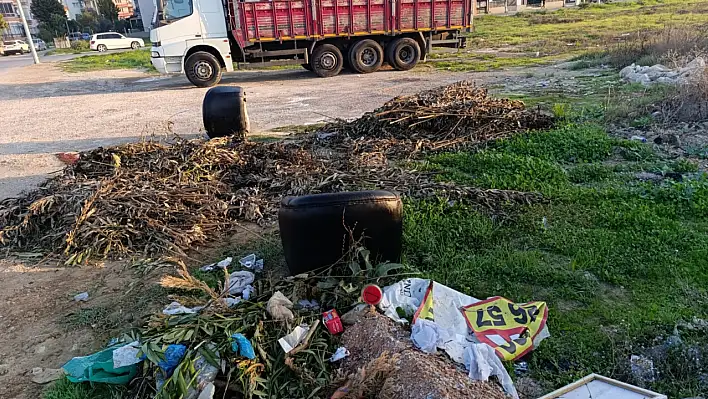 Ödemiş'te Çirkin Görüntüler Tepki Çekti