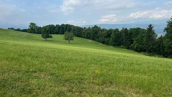 Ödemiş'te Taş Ocağına İzin Çıkmadı