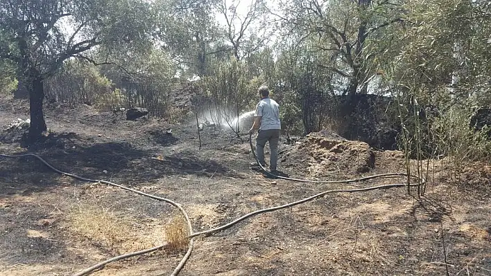 Ödemiş'te Ahrandı mevkiinde çıkan yangın kontrol altına alındı