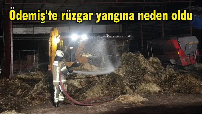 Ödemiş'te rüzgar yangına neden oldu