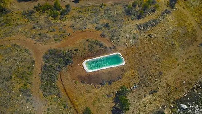 Ormanlar için hayati öneme sahip, sayıları artırılıyor