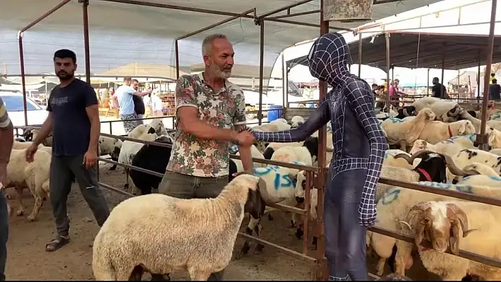 ‘Örümcek Adam’ kostümüyle kurbanlık pazarlığı yaptı