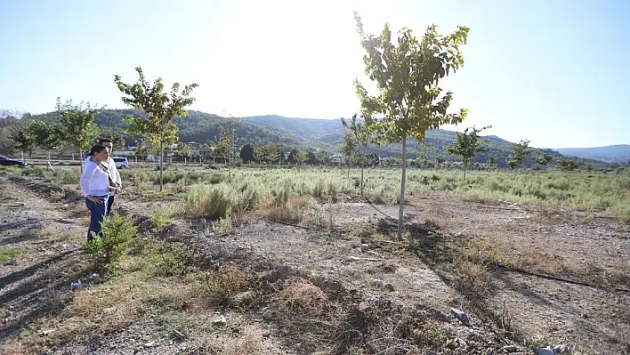 Pamucak alanı yürüyüş yoluna kavuşuyor