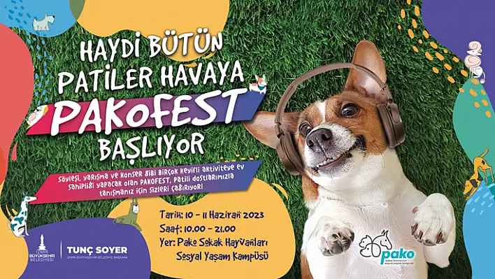 Pati dostları bu festivalde buluşacak