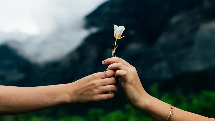 Rüyada barışmak ne anlama gelir? İşte rüya tabirleri…