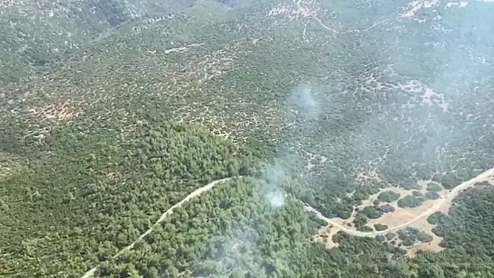 Selçuk'taki orman yangını kontrol altına alındı