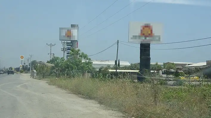 Selfie çekmek isterken az kalsın aslana yem oluyordu