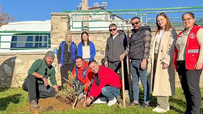 SEYYAH ÖMER VE GEZGİN NECİP BAYINDIR'DA FİDAN DİKTİ GENÇLİK MERKEZİ DESTEK VERDİ