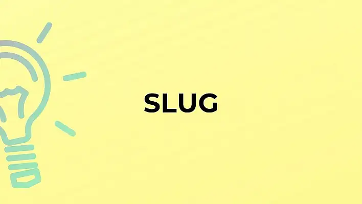 “Slug words” nedir?