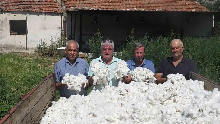 Söke Ziraat Odası pamukta fiyat beklentisini açıkladı