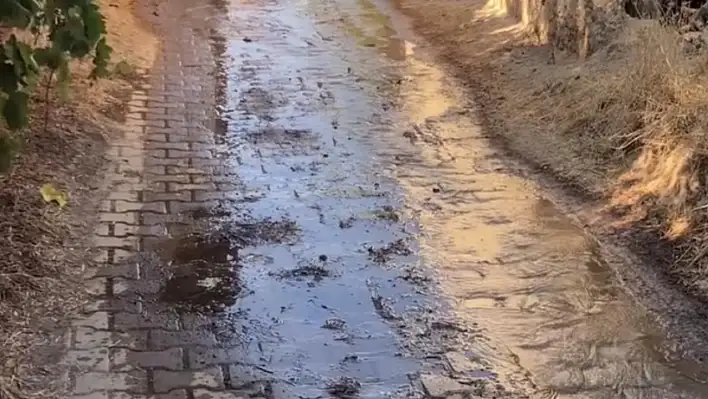 Susuzluk Konuşulurken Çaylı'da Su Sokağa Akıyor!