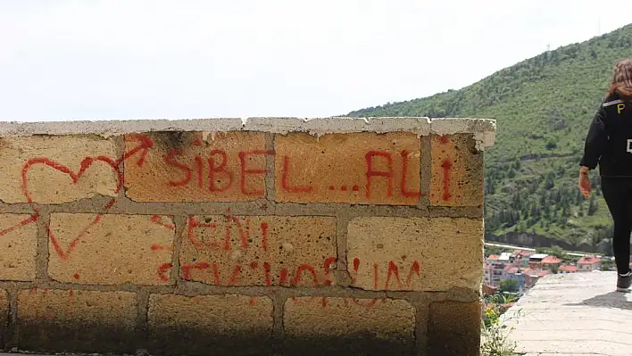 Tarihi kalede vandallık