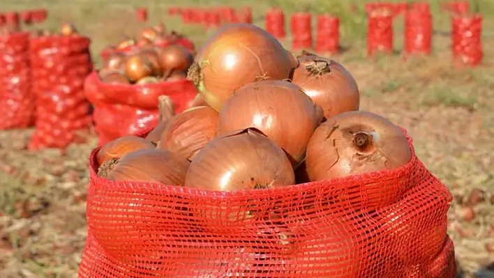 Tarım ve Orman Bakanlığı’ndan ‘kuru soğan’ açıklaması