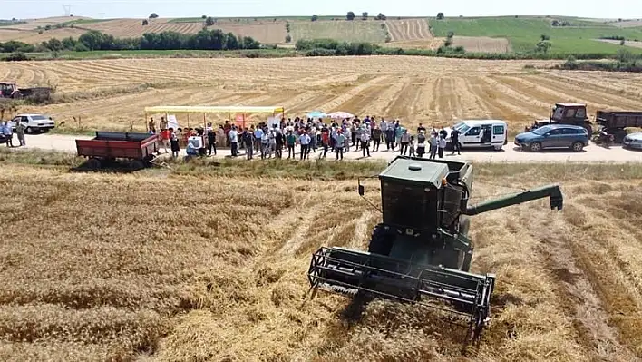 Tarla günü etkinliğinde yerli tohum tanıtıldı